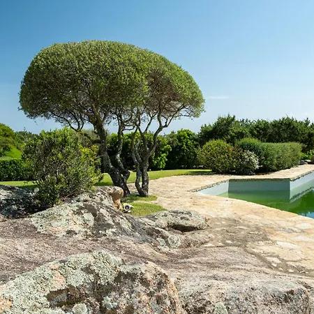 Cala Di Volpe Vista Mare E Piscina 펜션 *